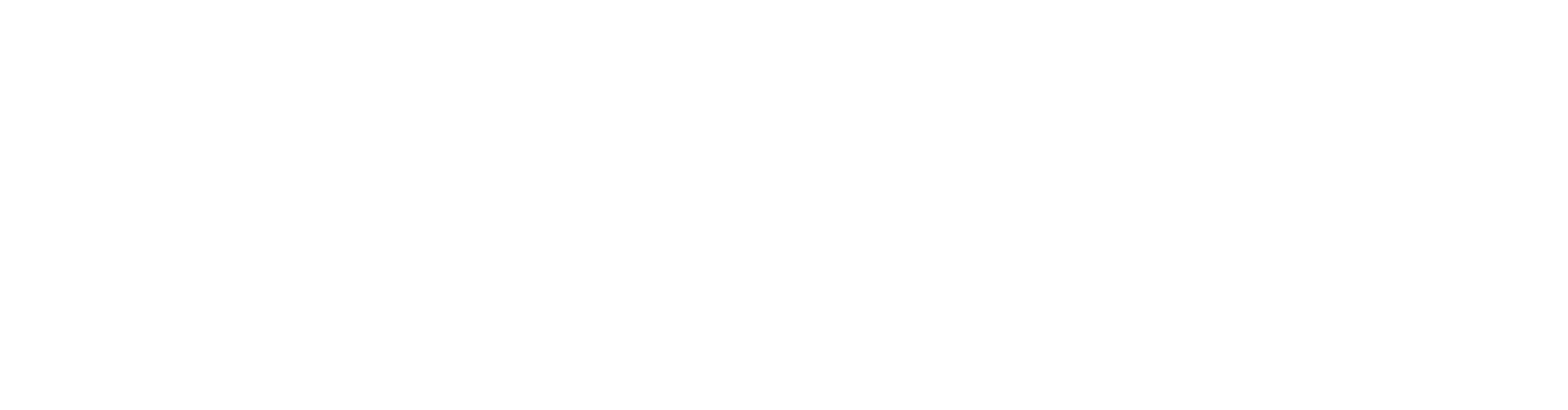 logo Faresin