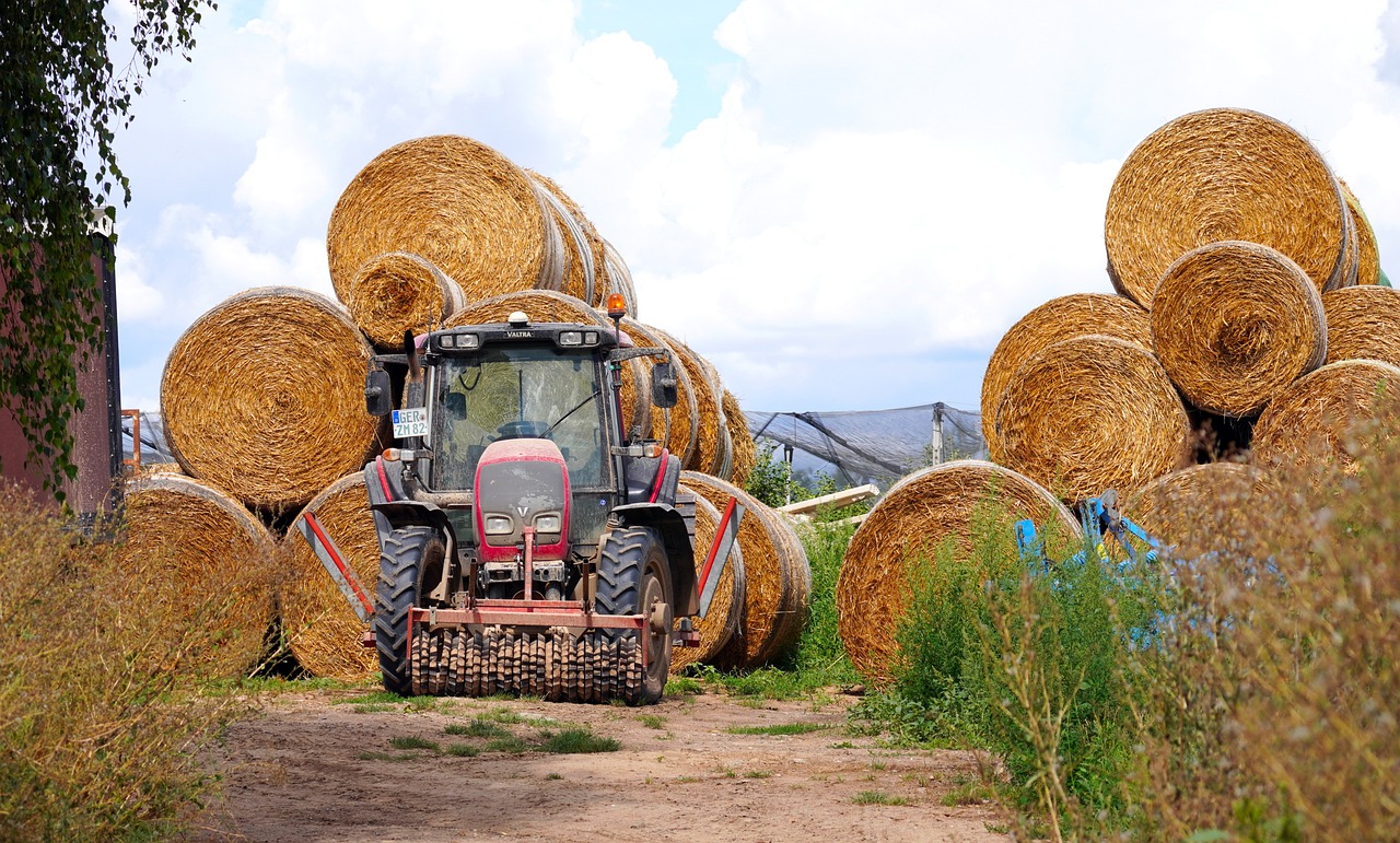 C&acirc;t costă un tractor?