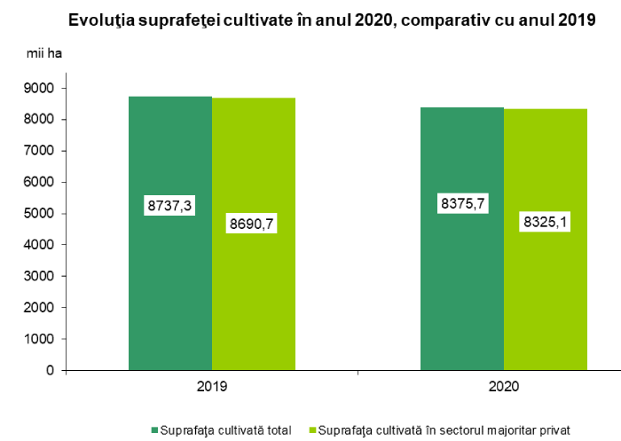 Grafic 1 - Evoluția suprafeței cultivate în 2020 față de 2019