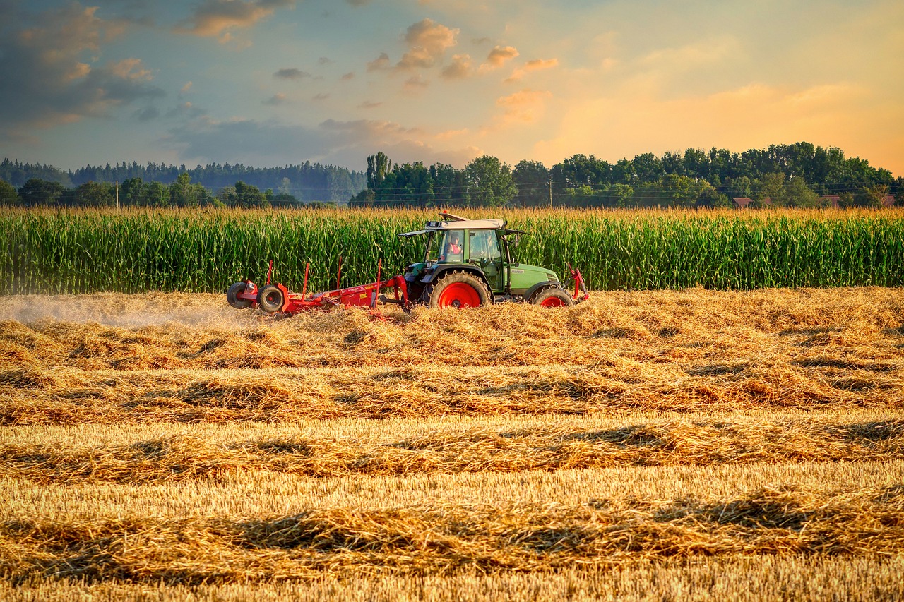 Ce &icirc;ntreținere este necesară pentru un tractor?