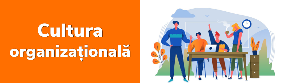 cultura organizationala job nou