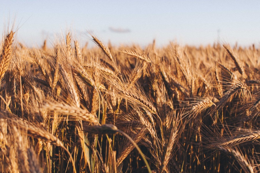 echipamente agricole