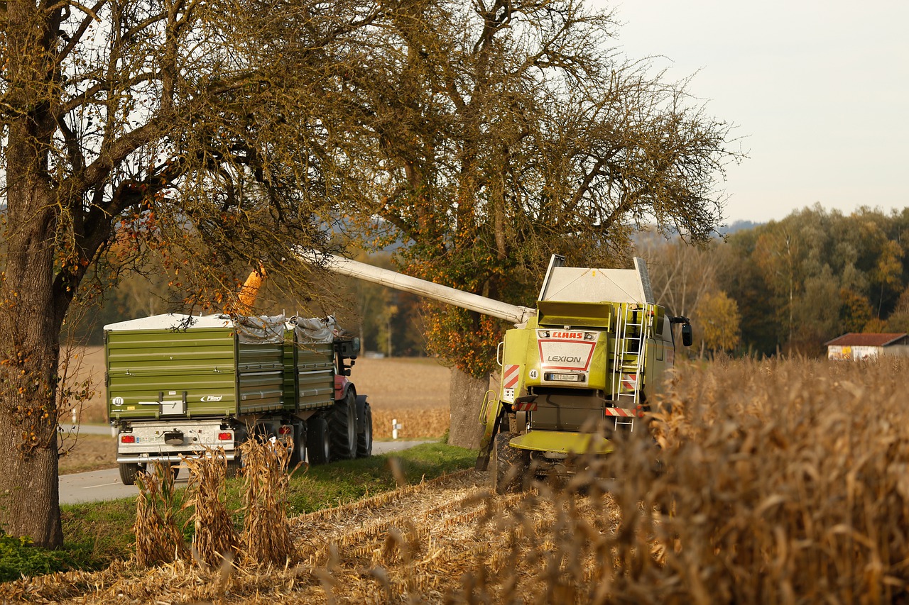 activitati agricole
